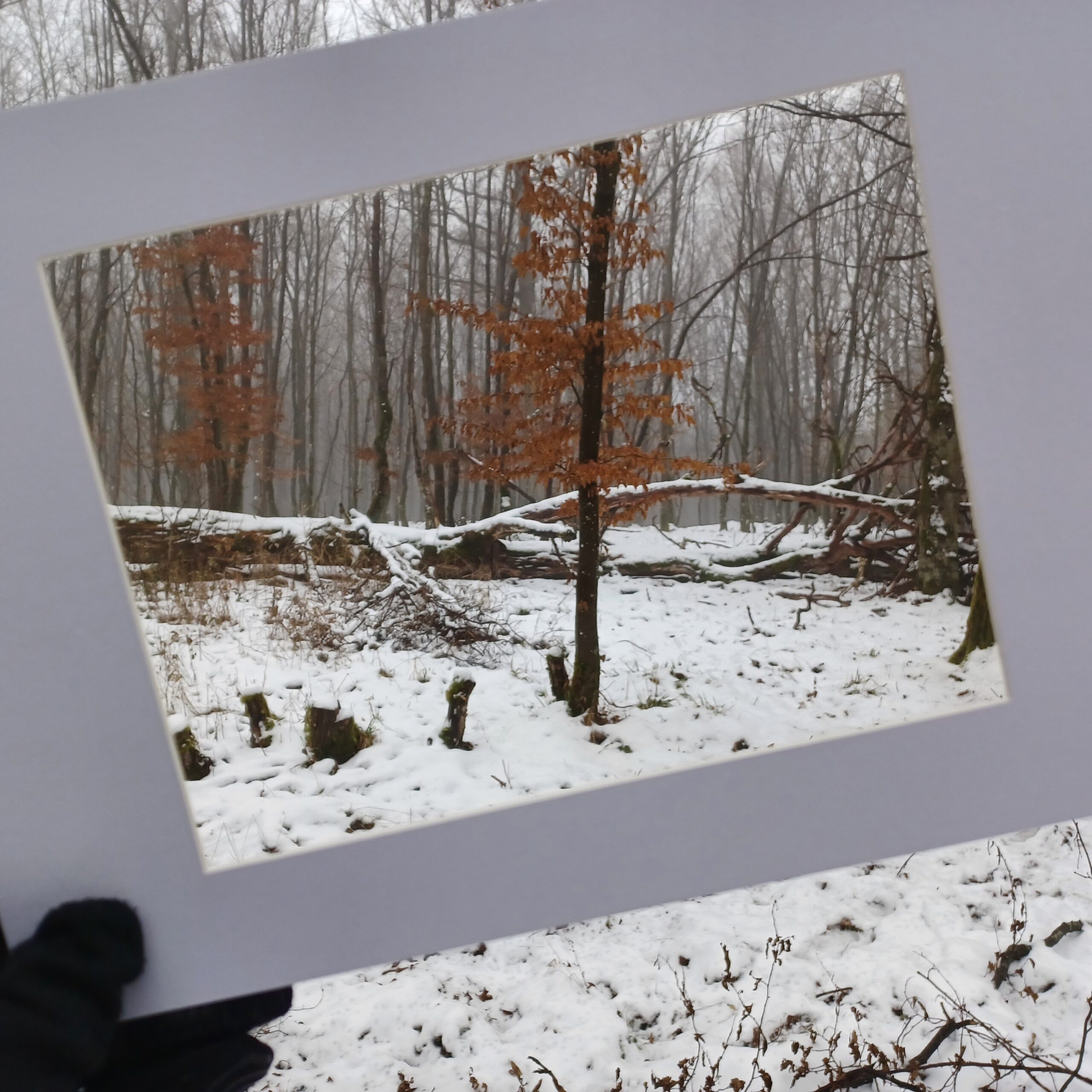 Waldbaden - Stephanie Munzert